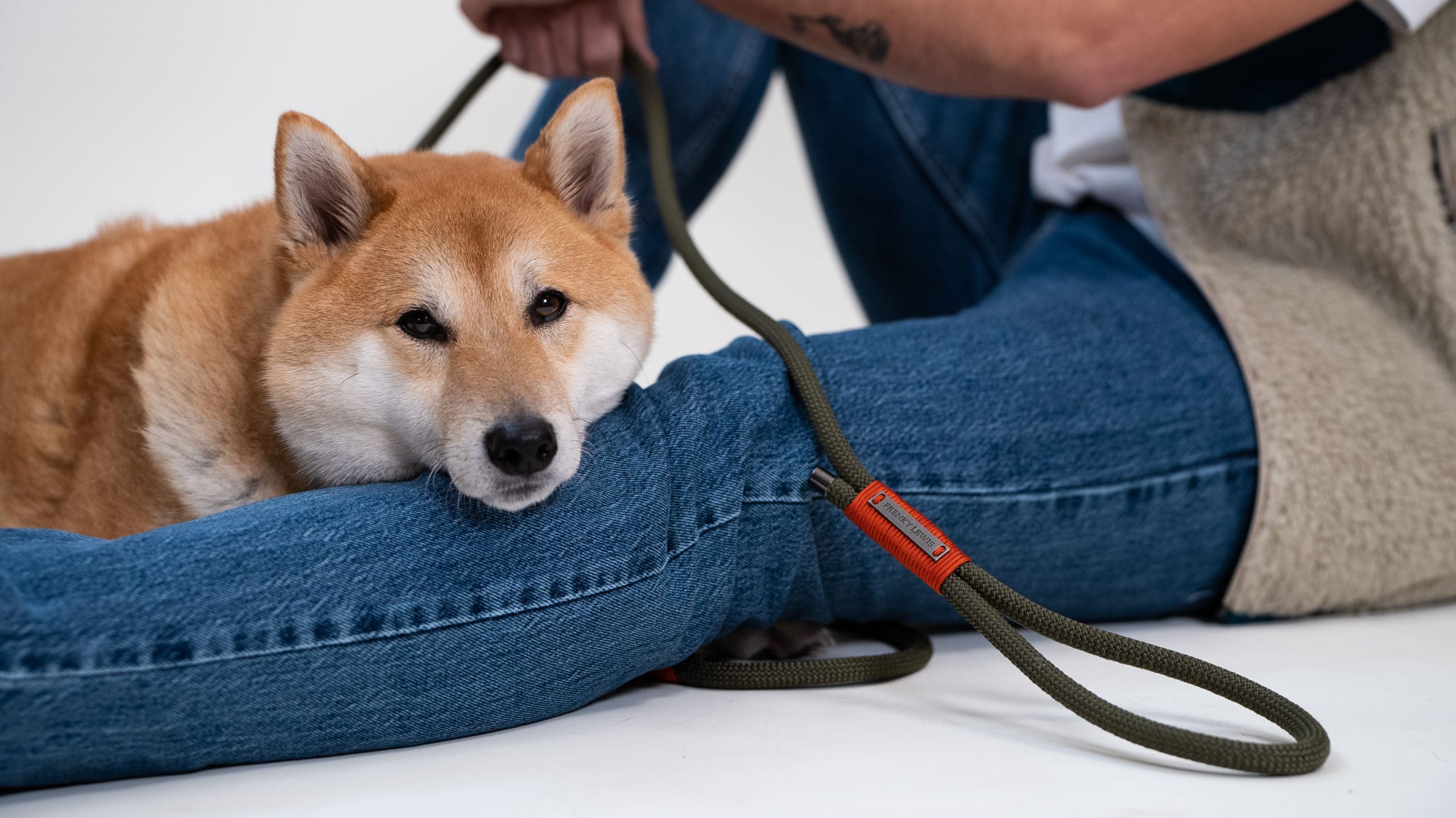 Dog Leash - Olly Baxter - 190cm