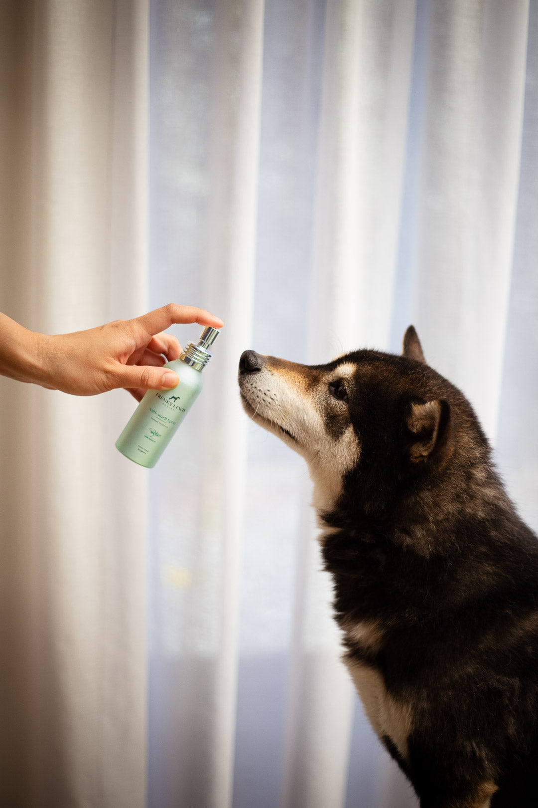 Anti Smell spray Green Tea & Bergamot