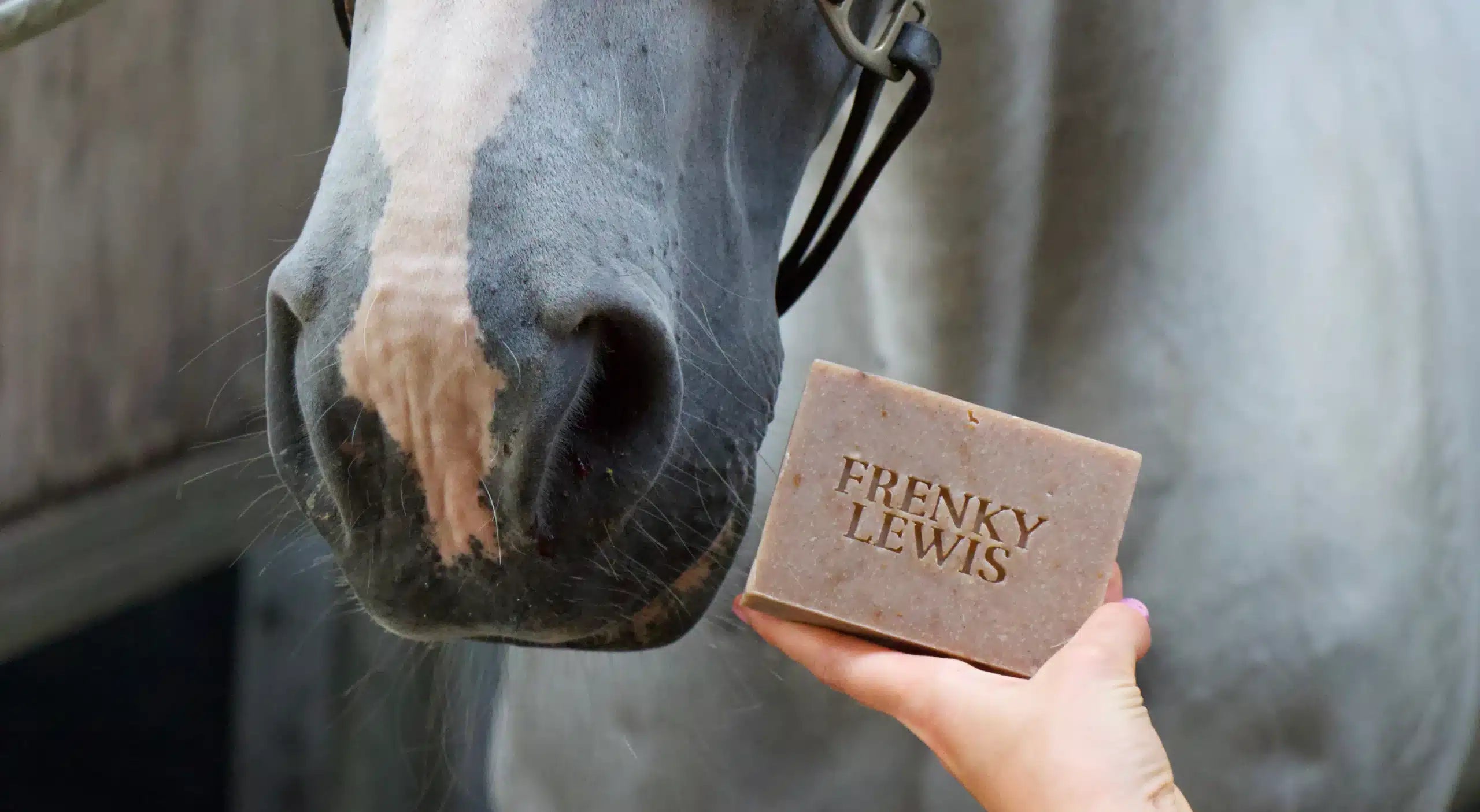 Paarden shampoo bar Black oak, Ceder & Pines