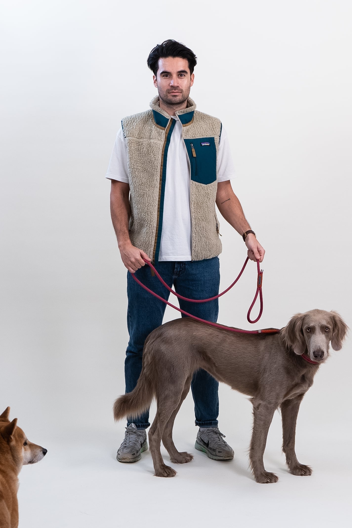 Dog Leash - Purple Poppy - 190cm