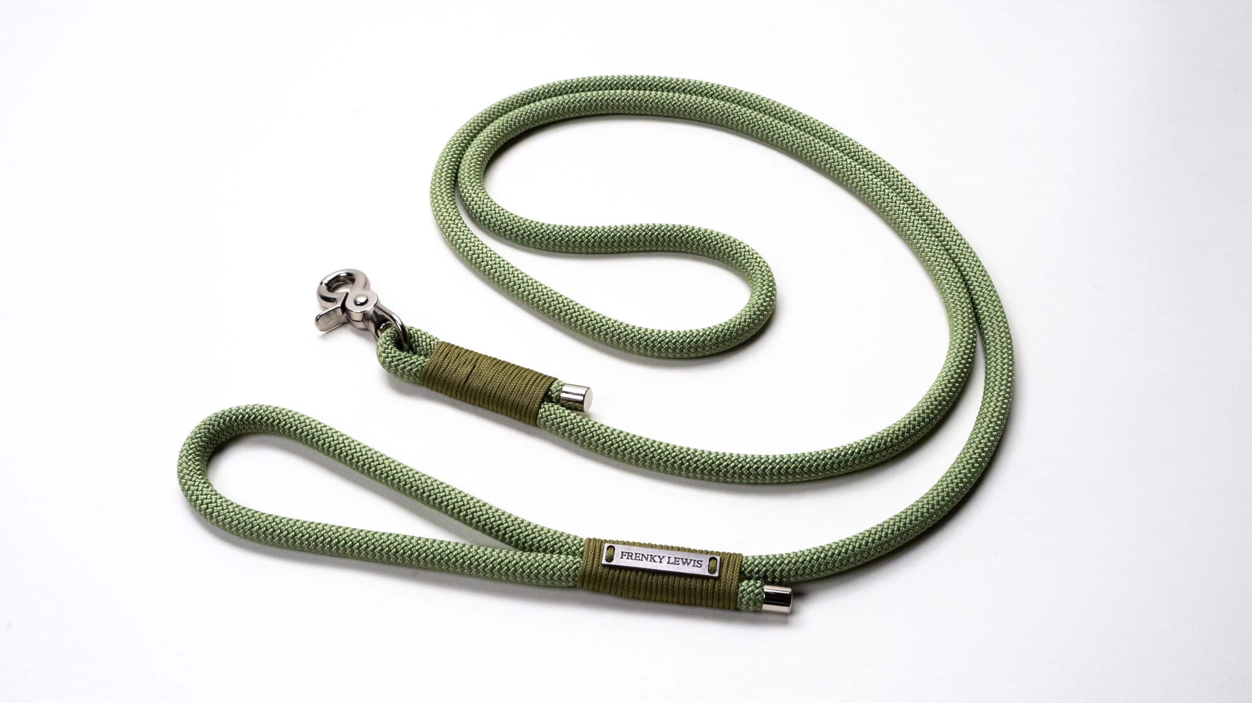 Hands Free Leash - Young Jagger - 250cm